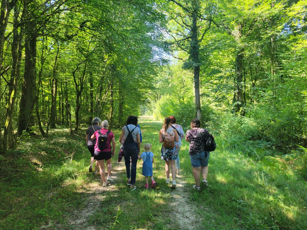 Groupe en promenade sur un chemin forestier lors de la balade ADMR